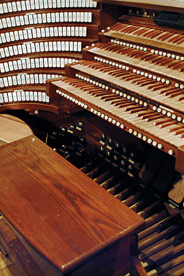 McLean Organ